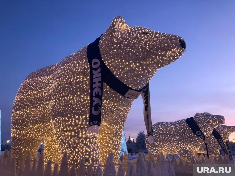 Медведей установят в начале декабря