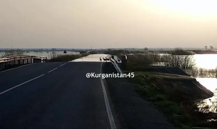 https://t.me/Kurganistan45/24455