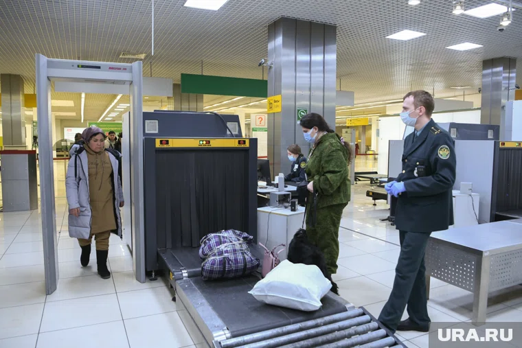 В аэропорту Сургута обнаружили запрещенный бамбук в багаже пассажирки из Узбекистана