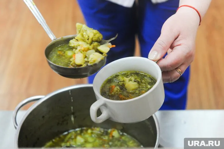 Насекомое в супе обнаружил один из учеников (архивное фото)