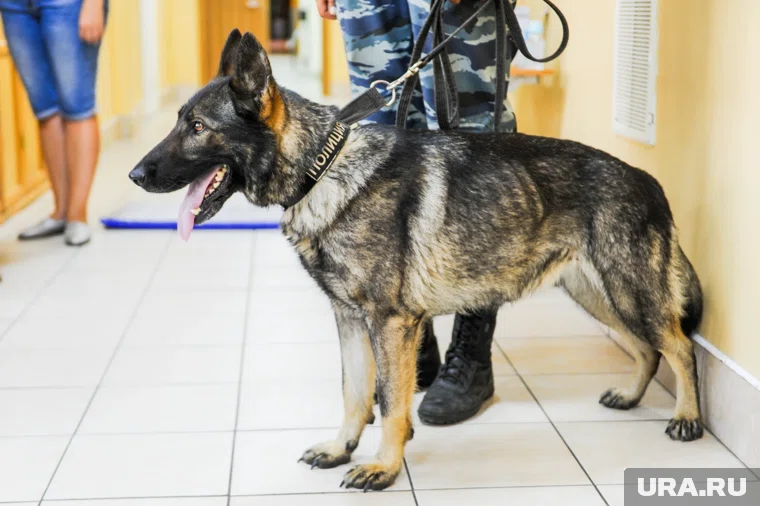 Ситуацию в школах контролируют силовики