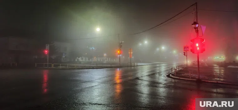 Видимость на трассе ухудшилась из-за тумана