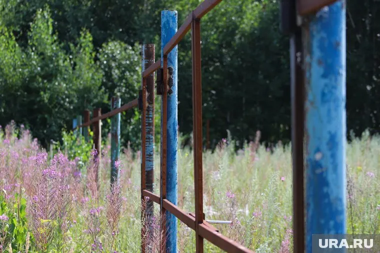 Похитители выкопали металлические столбы, на которых держалось ограждение кладбища