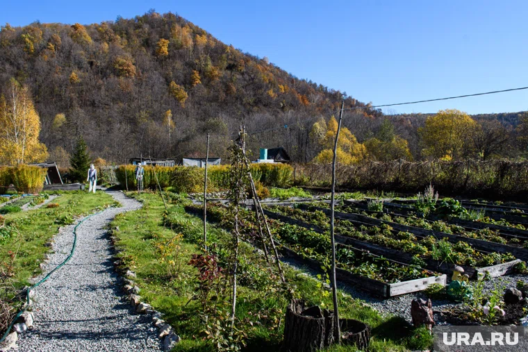 В ноябре еще не поздно заняться улучшением земли в огороде