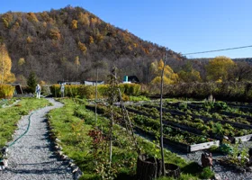 Сидераты осенью: можно ли успеть улучшить почву в ноябре — разбираемся с садоводом