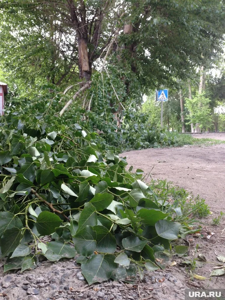 Очевидцы делятся в соцсетях последствиями шторма (фото из архива)