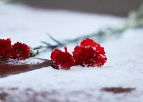 Фотография из галереи