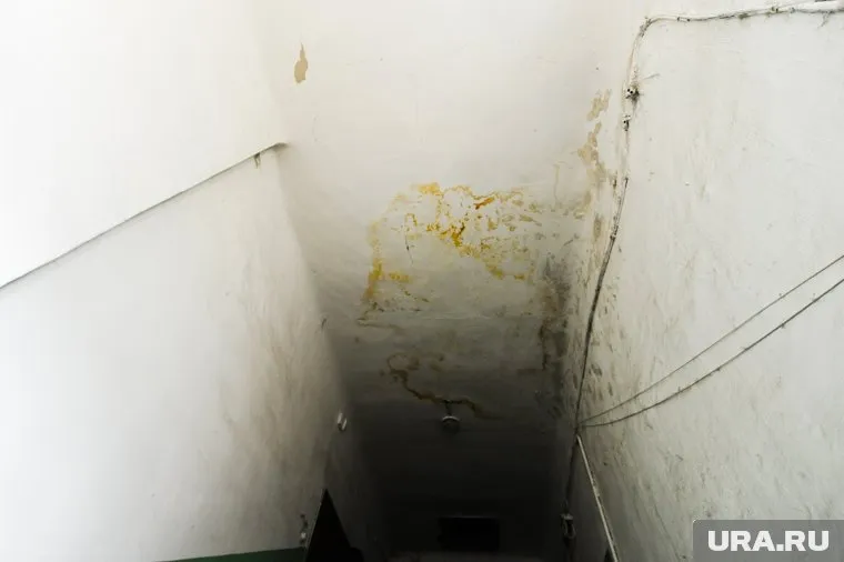 В доме уже год протекает крыша