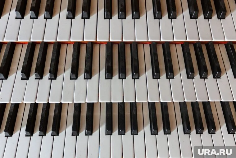 Максим Фадеев объявил набор детских поэтов