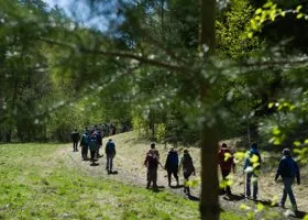 В селе Свердловской области впервые пройдет НЕмайская прогулка