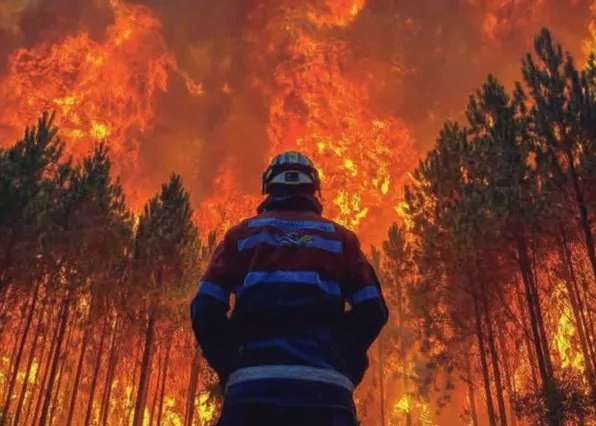 Фотография из галереи