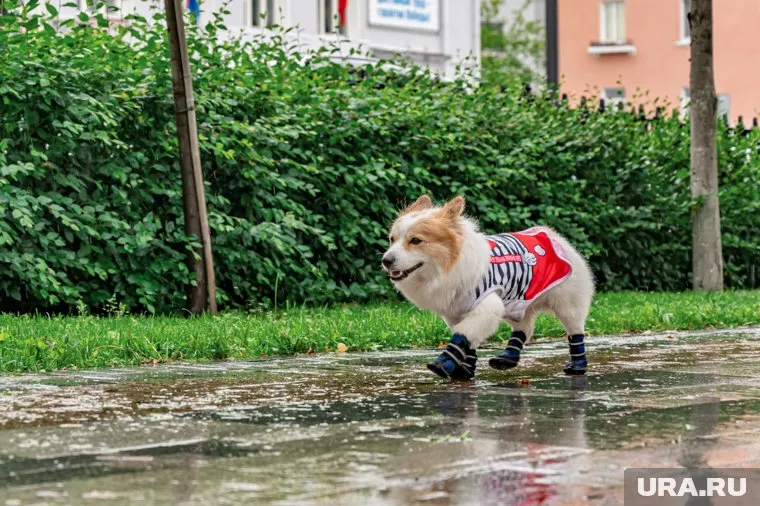 В городе обещают осадки