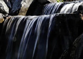 Фотография из галереи