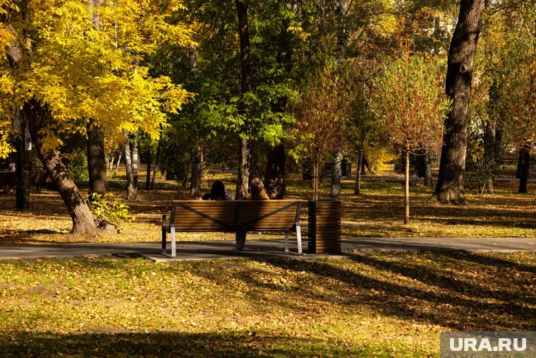 Днем в Курганской области будет солнечно и тепло