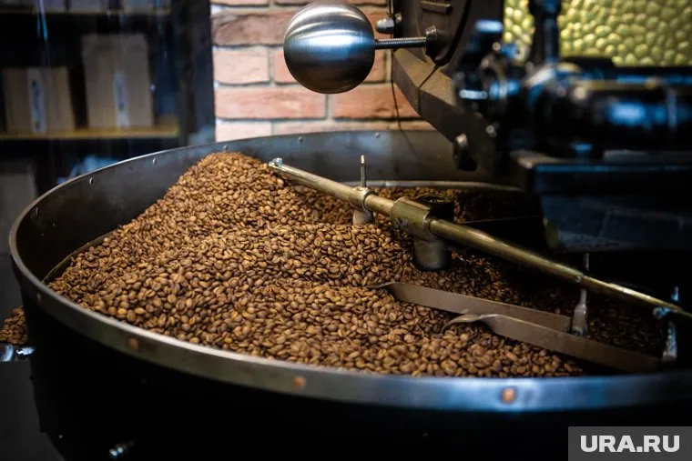 Производителям кофе не хватит рабочих для сбора урожая