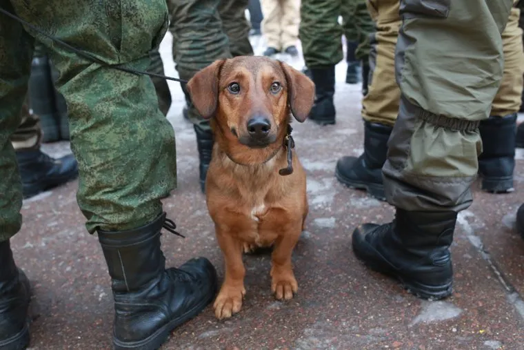 Отправка мобилизованных. Тюмень