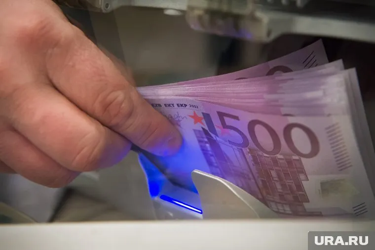 Сотни миллионов евро были ввезены во Францию в чемоданах и в безналичной форме