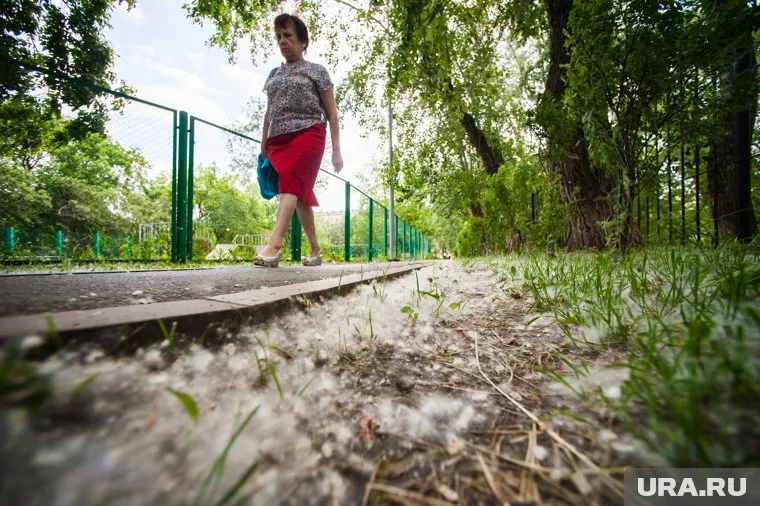 Поджог тополиного пуха является одной из главных причин возгораний в летний период