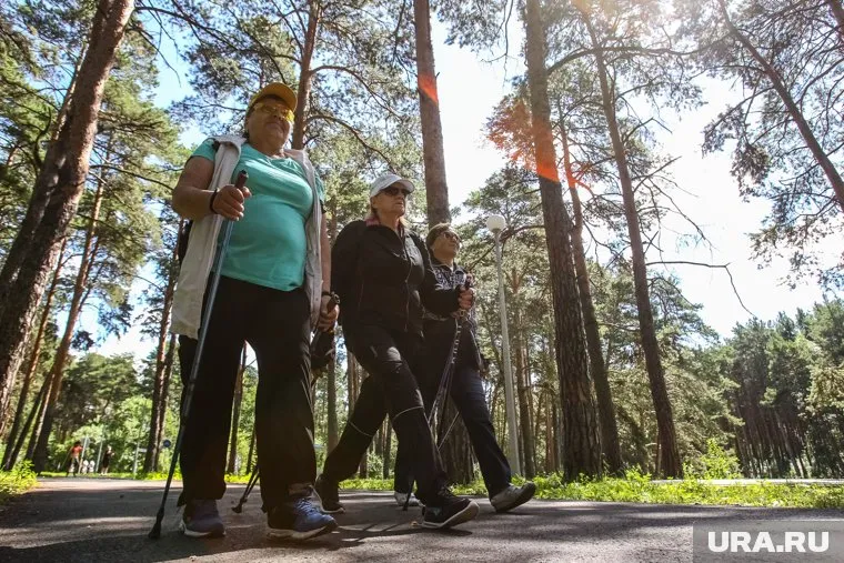 В категории "Перспектива" будут участвовать любители северной ходьбы, а в "Профи" - профессионалы 