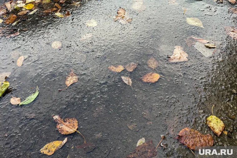 Температура опустится до -5 градусов сразу в нескольких городах России