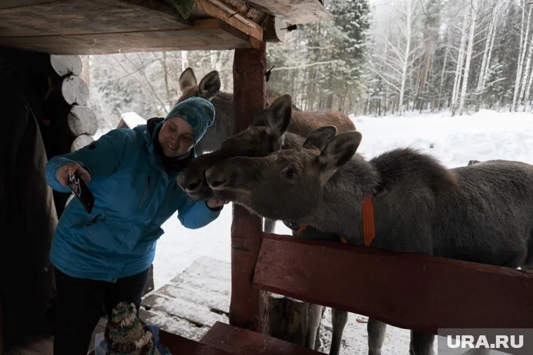 Агротуризм может быть особенно интересен живущим в городах семьям с детьми