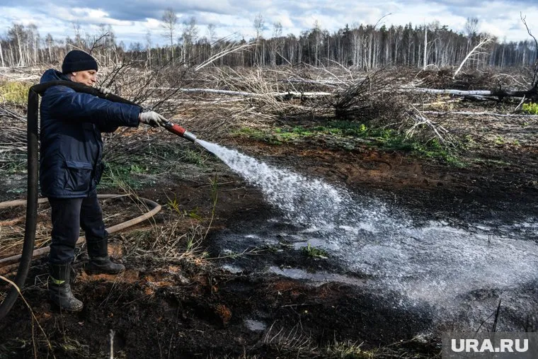 Компенсацию получат 13 регионов