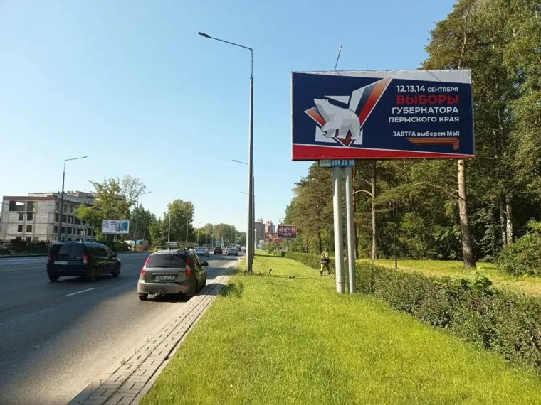 В выборах участвуют 11 кандидатов