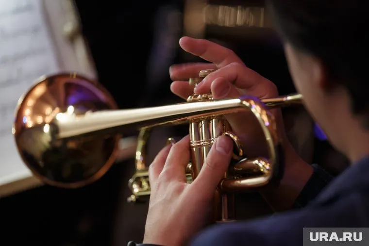 Жена генерал была трудоустроена в военном оркестре, но избегала своих обязанностей