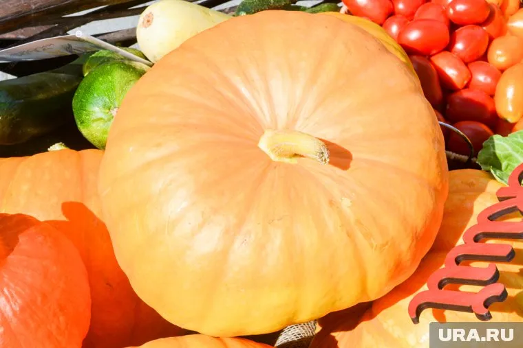 По всему миру отмечают День Тыквы 26 октября