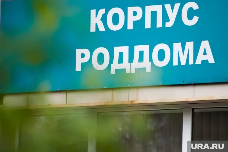 Владимир Сальдо отметил, что место, где прячутся украинские «военкоматчики», установили подпольщики