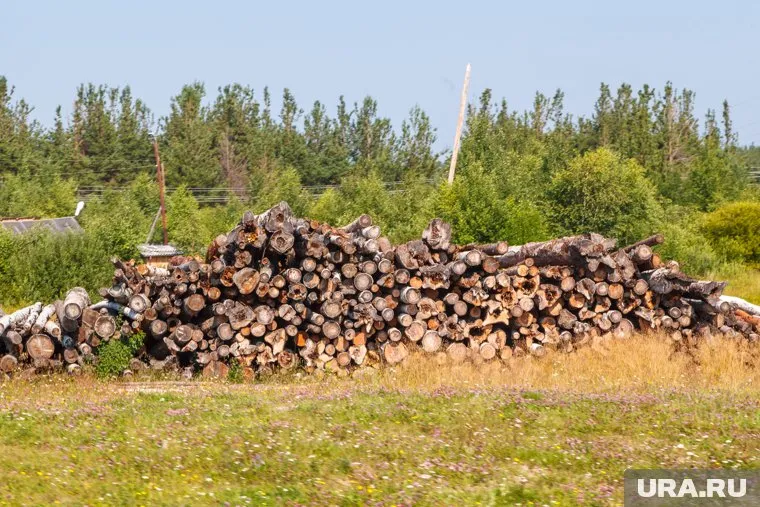В Югре появится новый индустриальный парк по переработке древесины. Это спасет скандально известный завод
