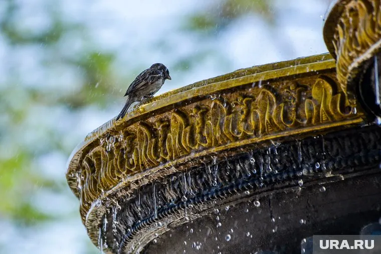 Синоптики обещают жару и ливни