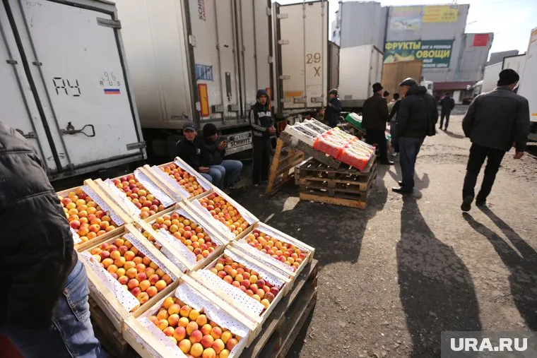 С овощебазой связано множество — в том числе криминальных — конфликтов
