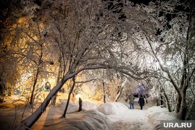 Администрация Надымского района заплатит за иллюминацию 2, 9 млн рублей вместо 8,9 млн