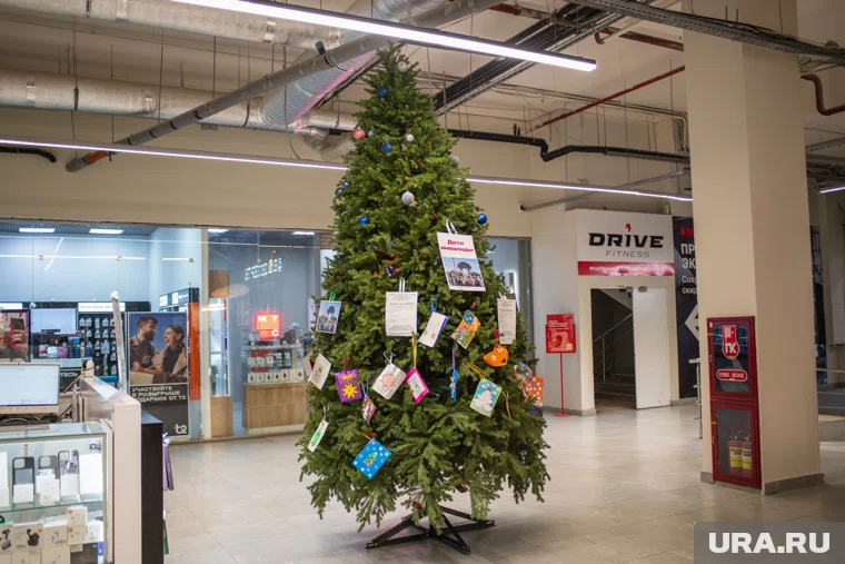 С каждым днем на елках все меньше открыток