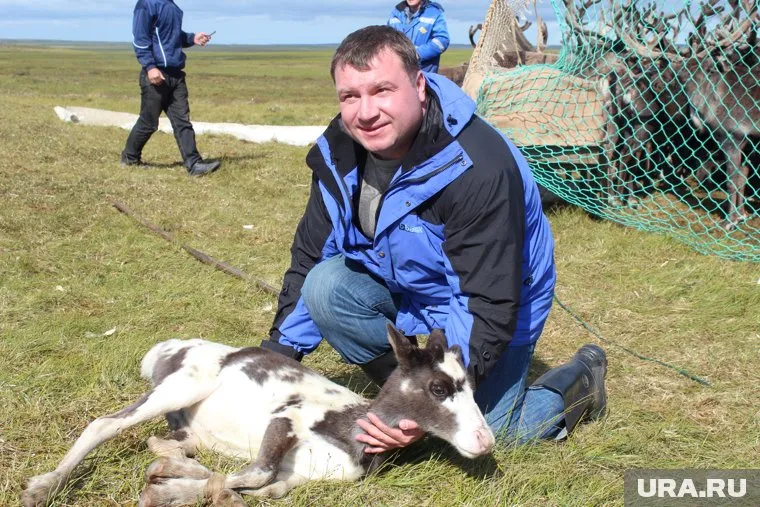 Дмитрий Афанасьев долгое время работал в Приуральском районе сначала на предприятиях, потом - в администрации