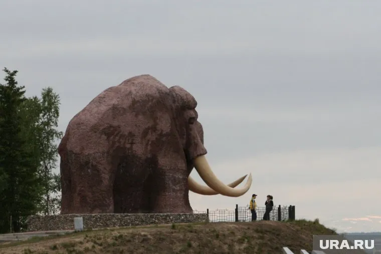 Ученые не раз находили останки мамонтов в Ямальском районе