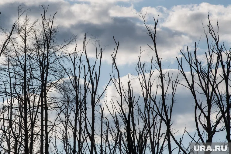 Что можно отметить 15 сентября 2025 года