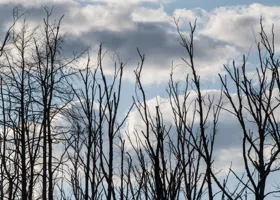 Какие праздники отмечают 15 сентября 2025: что можно и нельзя делать