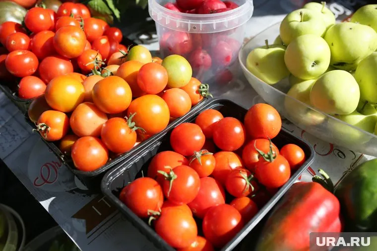 В России снизились цены на помидоры и другие овощи