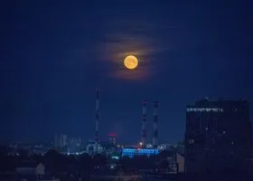 Подземелья, кости, брызги искр и виниловая вечеринка