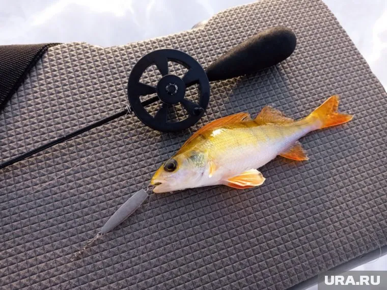 Мужчину поздравили с эксклюзивным уловом