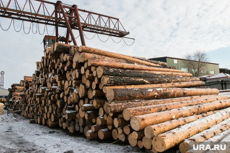 В Курганской области будут субсидировать строительство дома