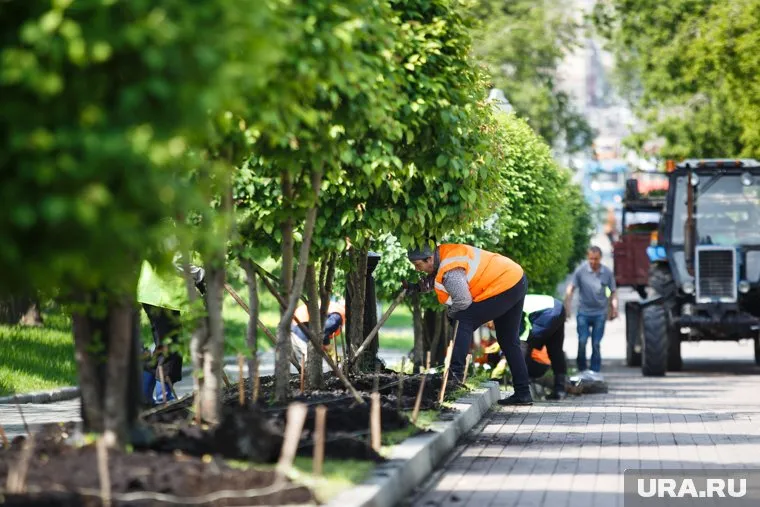 В питомнике в Перми будут выращивать 15 тысяч деревьев в год