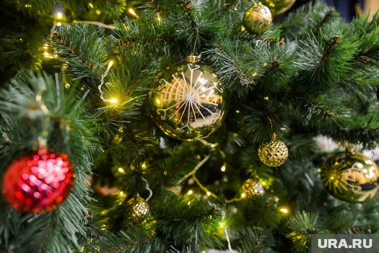 Челябинцы нарядили автомобили гирляндами и установили елки