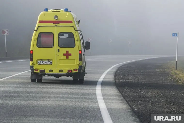 Пострадали во время стрельбы еще шесть человек