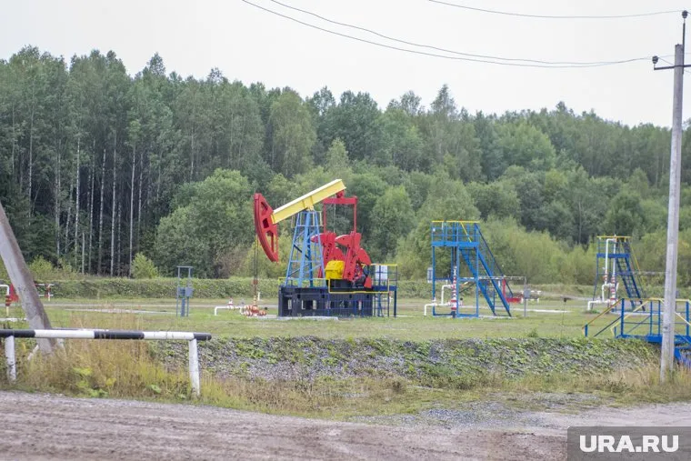 Нарушитель из Муравленко срезал провода у нефтяного оборудования