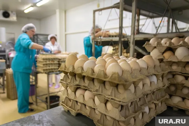 По данным Свердловскстата, десять яиц стоят 83 рубля
