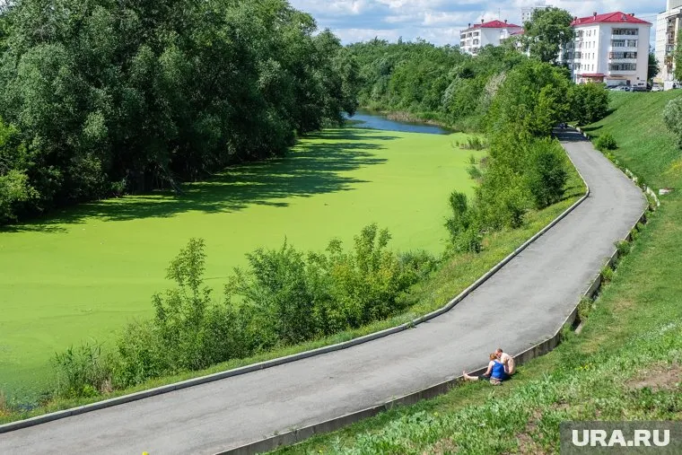 Из-за зеленого цвета Битевку в шутку прозвали родиной супергероя Халка