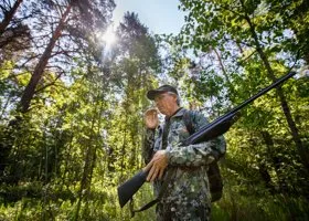 Из-за африканской чумы свиней в ХМАО запретили охоту